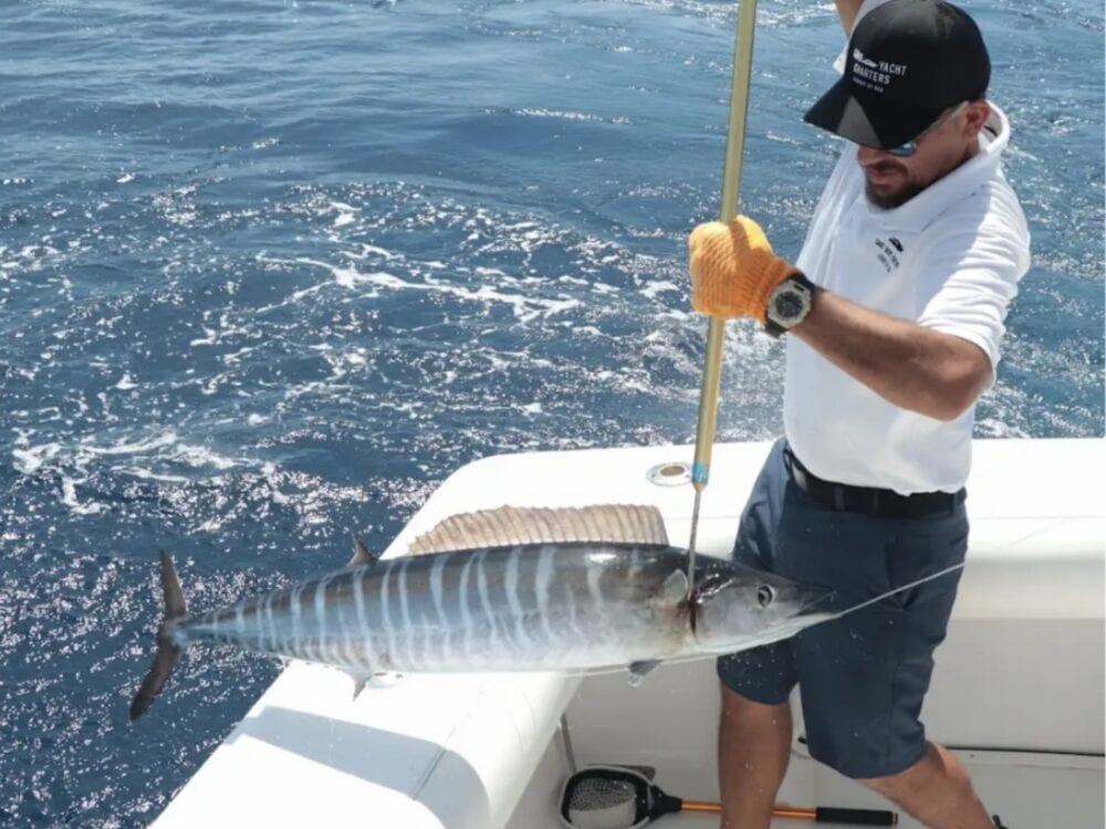Les Is More tournament-rigged sportfishing yacht off the Cabo coast